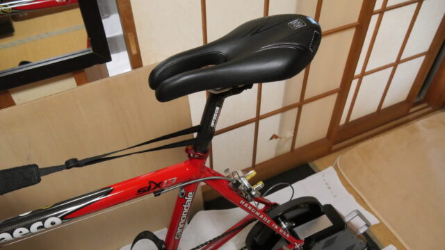 黒 桜古典 ism ADAMO PL1.0 サドル トライアスロン TTバイク | www